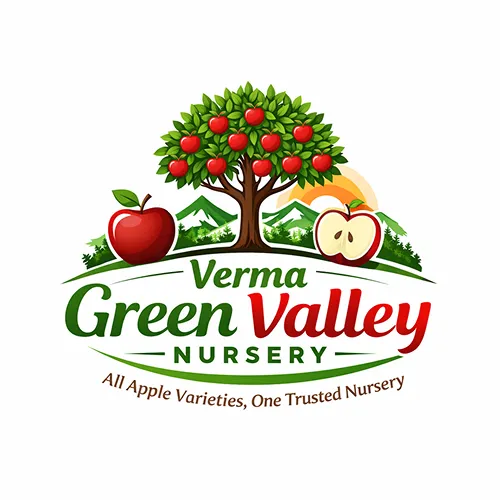Verma Green Valley Nursary
